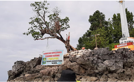 PANTAI BONE BULUSAN